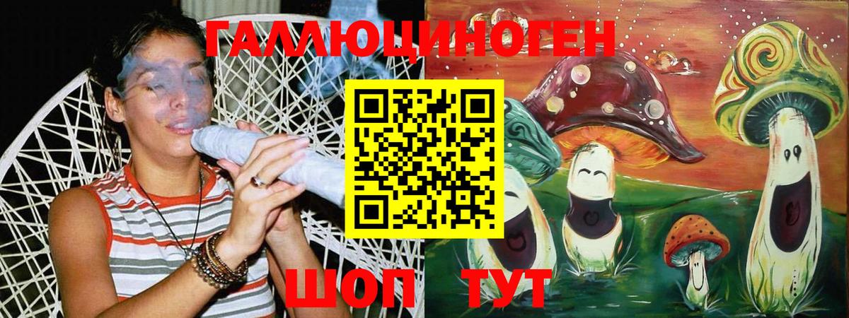 Сланцы  Псилоцибиновые грибы мухоморы  Вход с VPN  Галлюциногенные грибы мицелий 