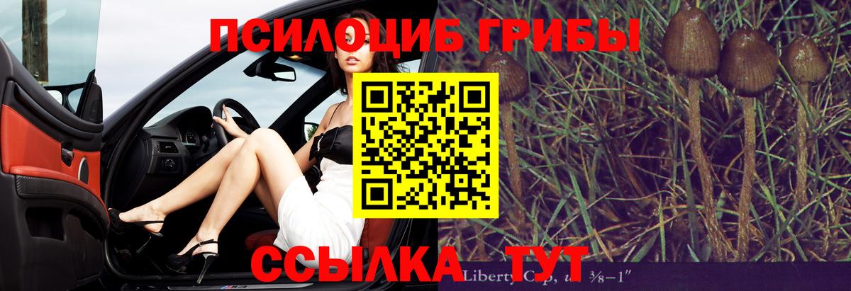Галлюциногенные грибы ЛСД Сланцы