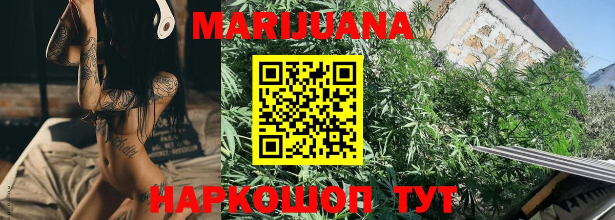 Канабис ГИДРОПОН  Конопля Ganja  Бошки Шишки тримм  Вход с VPN  Сланцы 